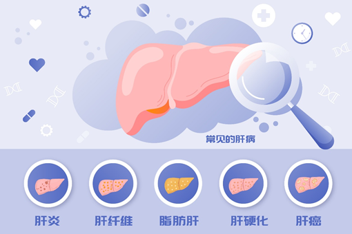 减肥达人减肥训练营勇敢者的改变