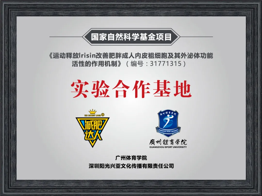 减肥达人减肥训练营勇敢者的改变